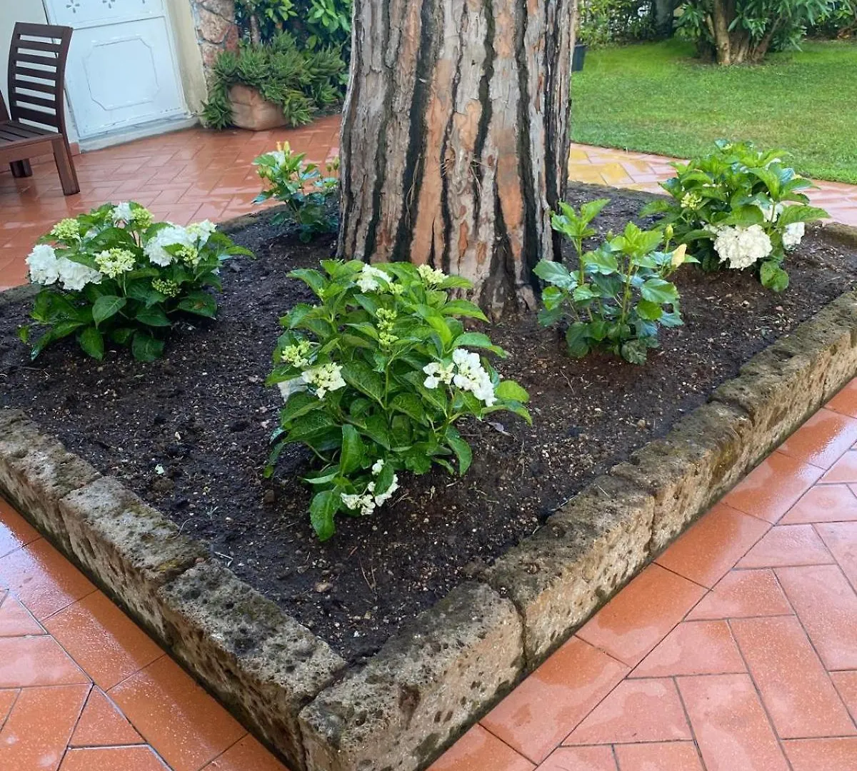 Charming Apartment Just Two Steps From The Sea Lido di Camaiore Italy